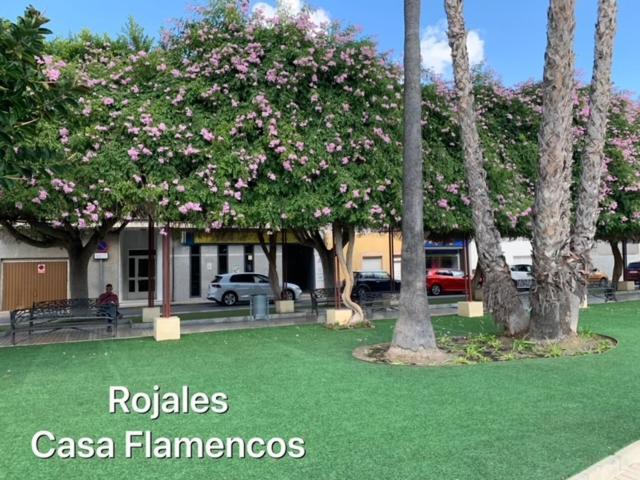 فيلا Casa Flamencos روخاليس المظهر الخارجي الصورة