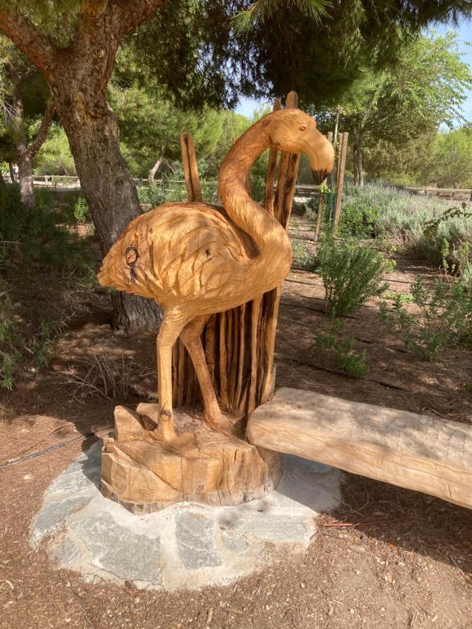 فيلا Casa Flamencos روخاليس المظهر الخارجي الصورة